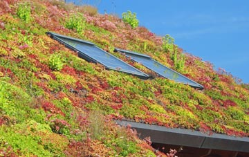 Borrowstoun Mains living roof systems