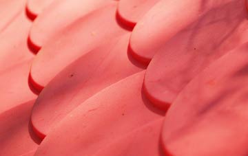 Borrowstoun Mains plastic roof costs