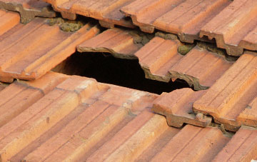 roof repair Borrowstoun Mains, Falkirk